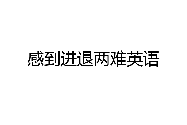 感到进退两难英语