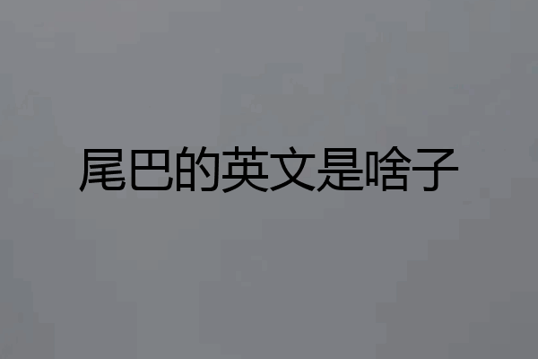 尾巴的英文是啥子