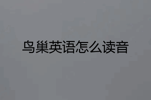 鸟巢英语怎么读音