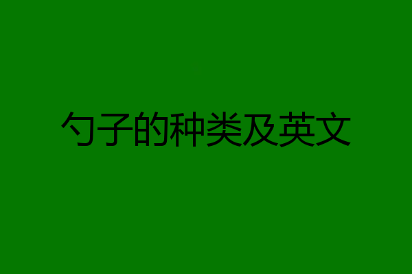 勺子的种类及英文