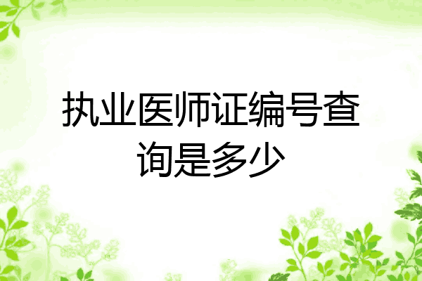 执业医师证编号查询是多少