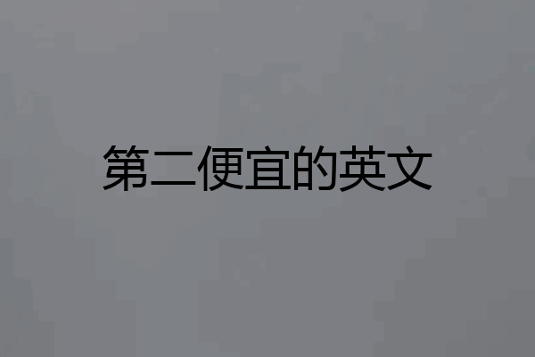 第二便宜的英文