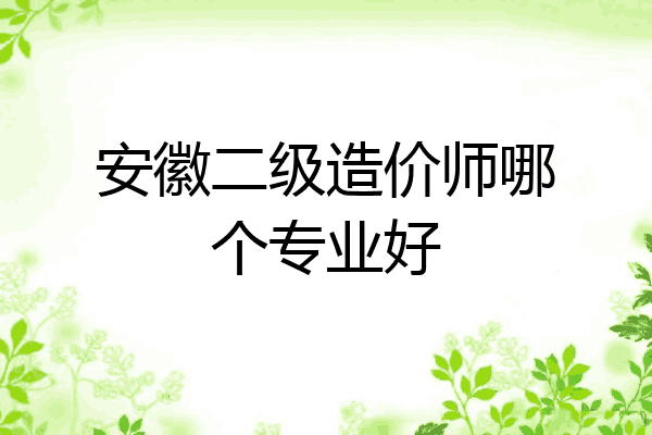 安徽二级造价师哪个专业好