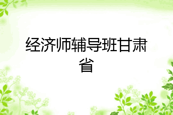 经济师辅导班甘肃省