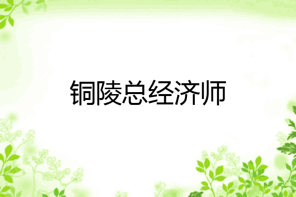 铜陵总经济师