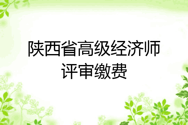陕西省高级经济师评审缴费