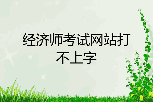 经济师考试网站打不上字