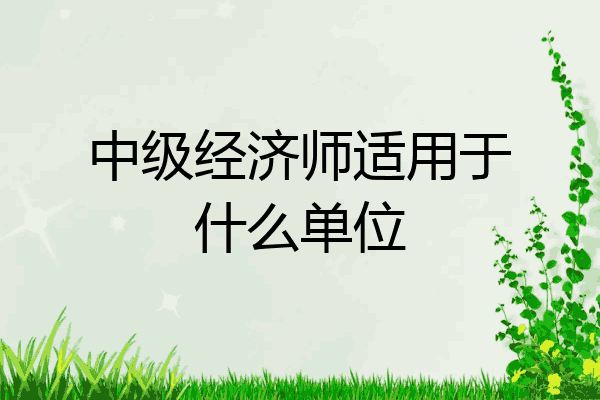 中级经济师适用于什么单位