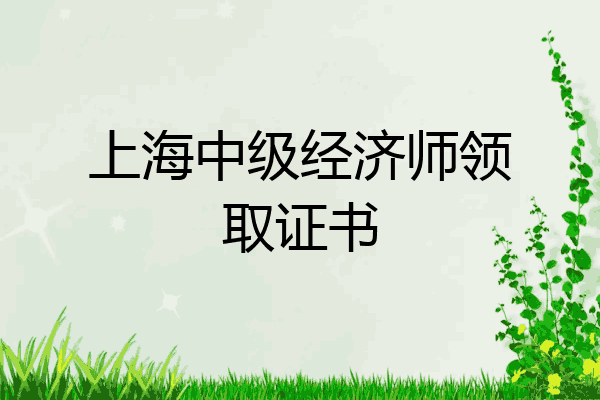 上海中级经济师领取证书