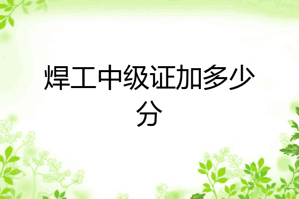 焊工中级证加多少分