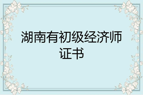 湖南有初级经济师证书
