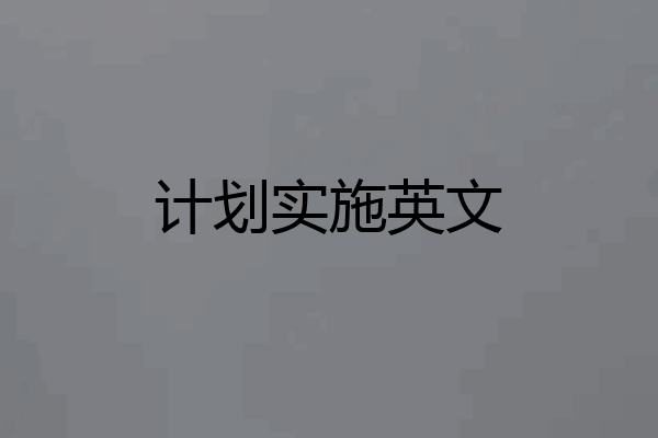 计划实施英文