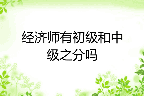 经济师有初级和中级之分吗