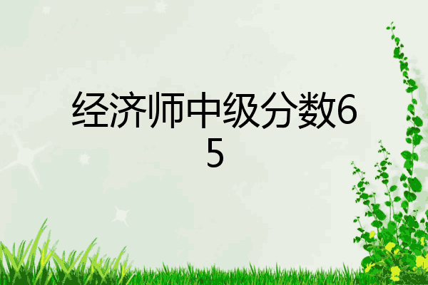 经济师中级分数65