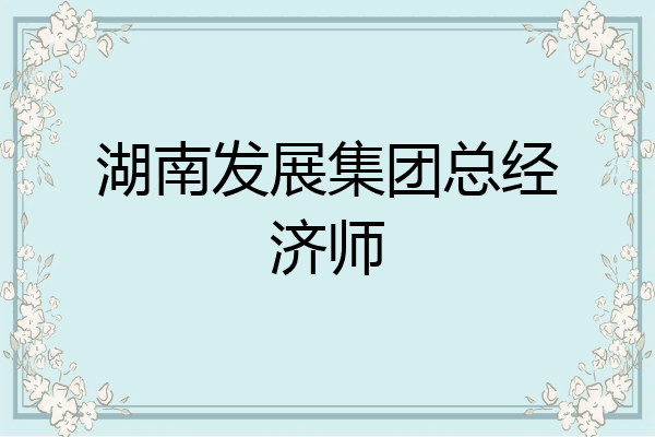 湖南发展集团总经济师