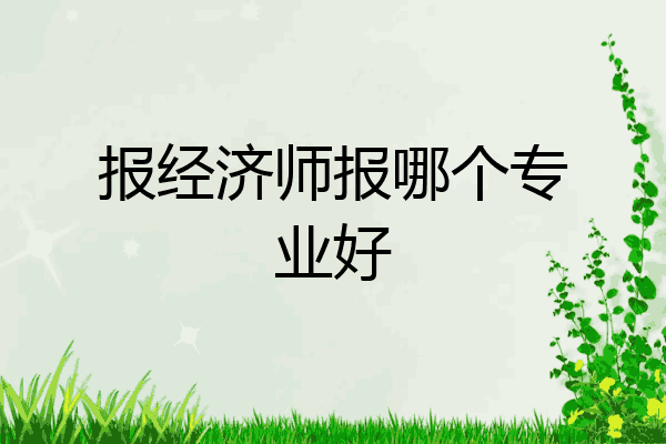 报经济师报哪个专业好