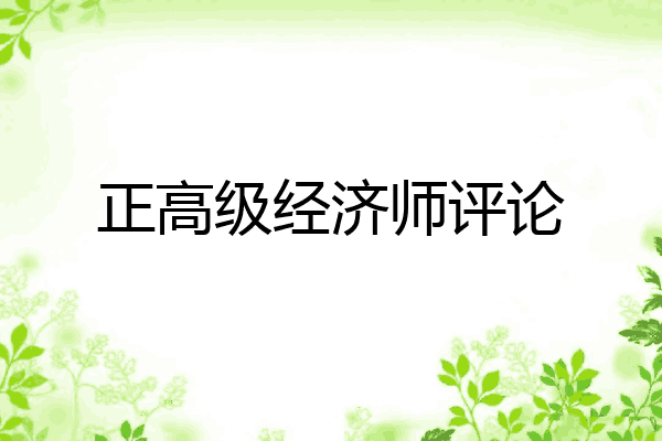 正高级经济师评论