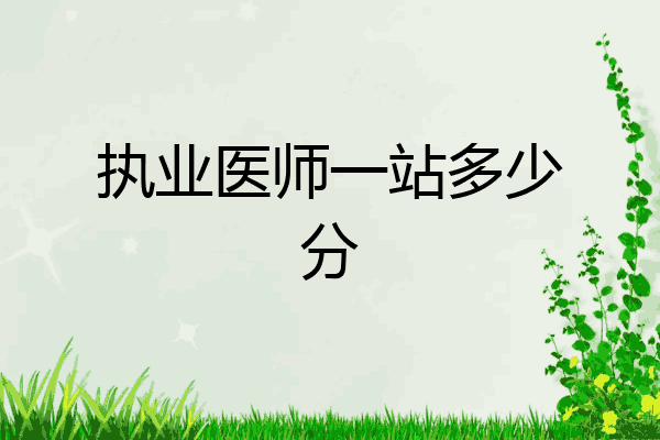 执业医师一站多少分