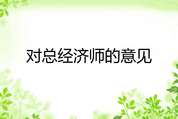 对总经济师的意见