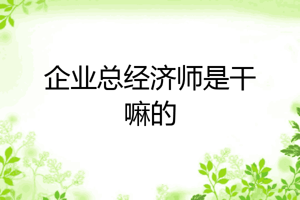 企业总经济师是干嘛的