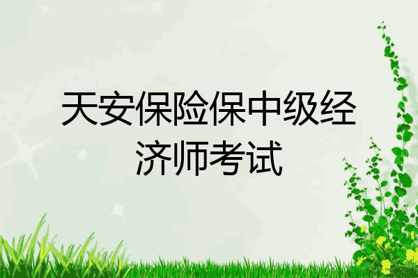 天安保险保中级经济师考试