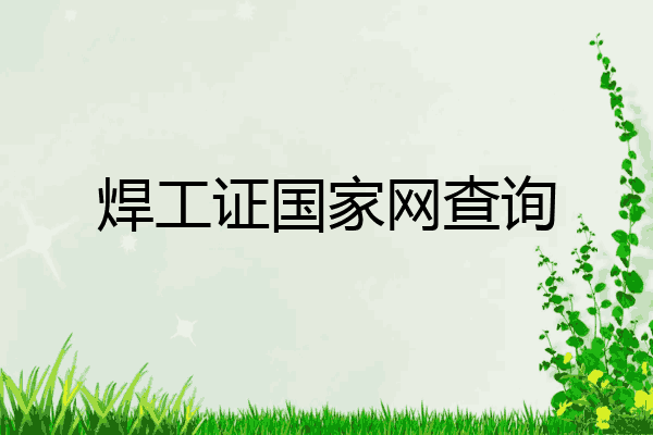 焊工证国家网查询