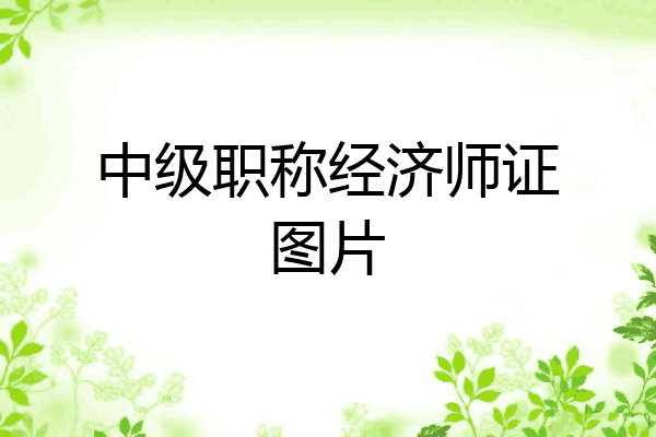 中级职称经济师证图片