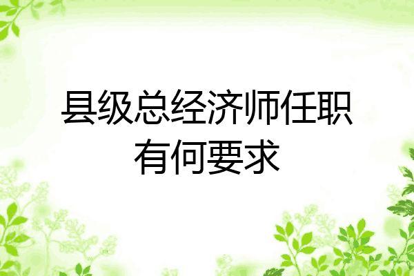 县级总经济师任职有何要求