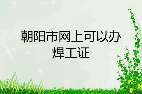 朝阳市网上可以办焊工证