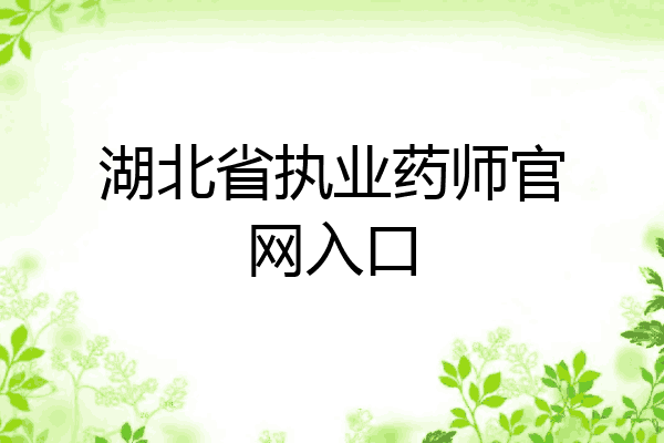 湖北省执业药师官网入口
