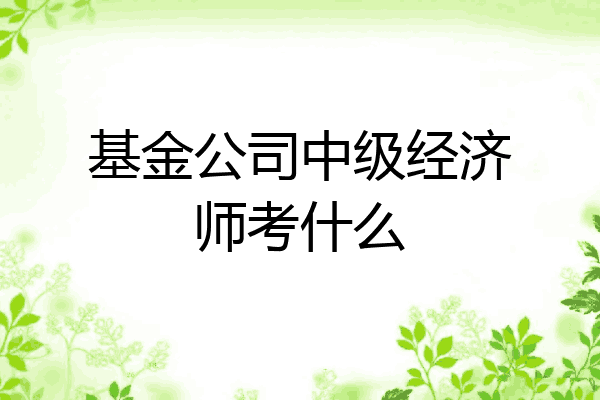 基金公司中级经济师考什么