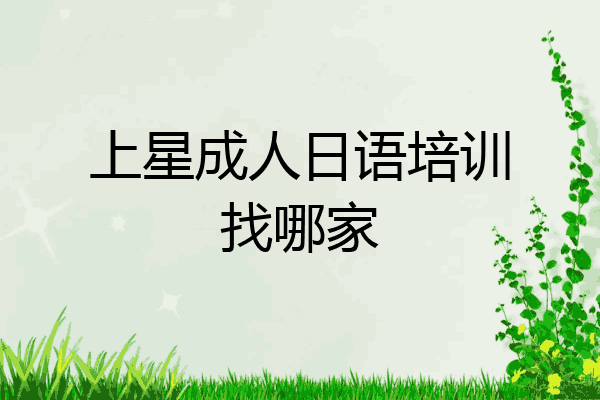 上星成人日语培训找哪家