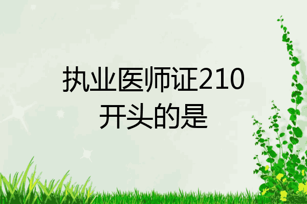 执业医师证210开头的是