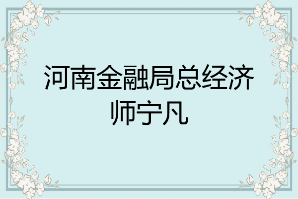 河南金融局总经济师宁凡