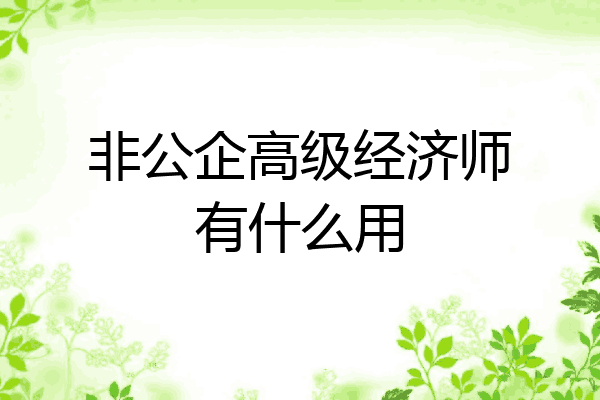 非公企高级经济师有什么用