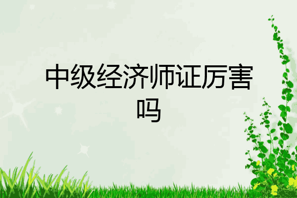 中级经济师证厉害吗