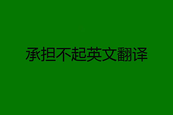 承担不起英文翻译