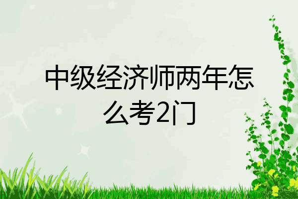 中级经济师两年怎么考2门
