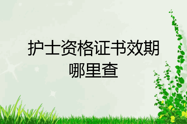 护士资格证书效期哪里查