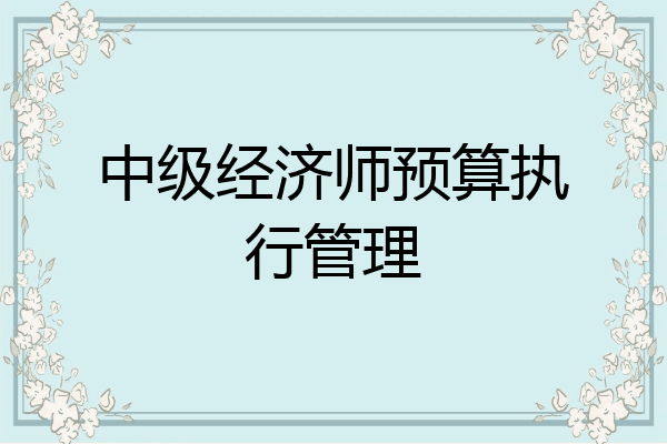 中级经济师预算执行管理
