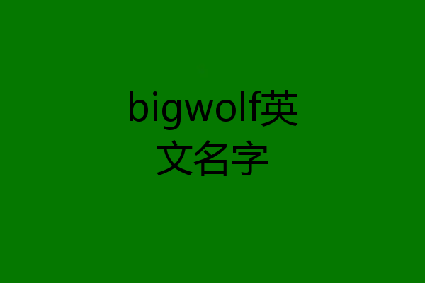 bigwolf英文名字
