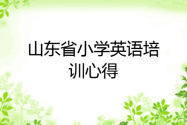 山东省小学英语培训心得