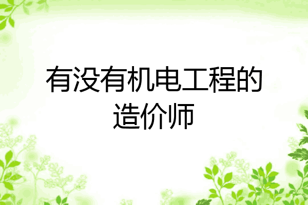 有没有机电工程的造价师