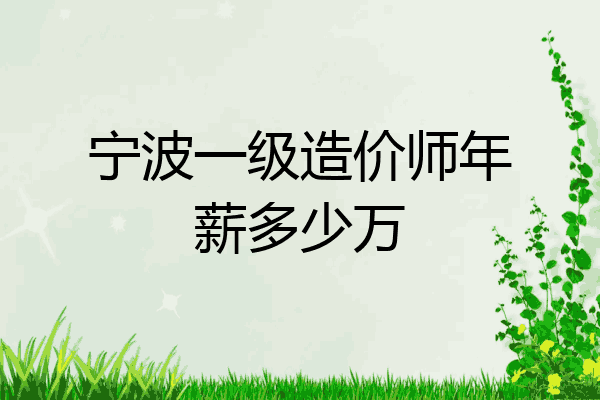 宁波一级造价师年薪多少万