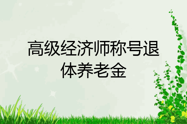 高级经济师称号退体养老金