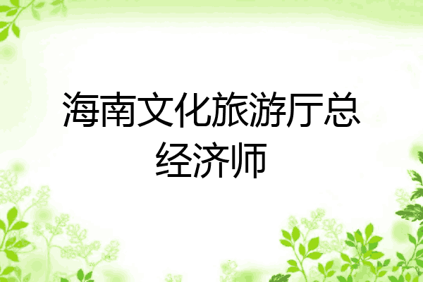 海南文化旅游厅总经济师