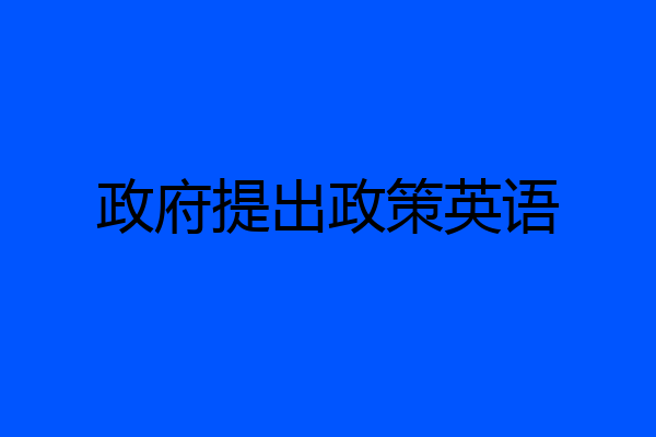 政府提出政策英语