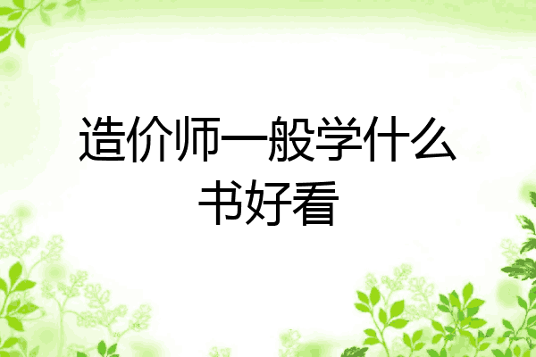 造价师一般学什么书好看
