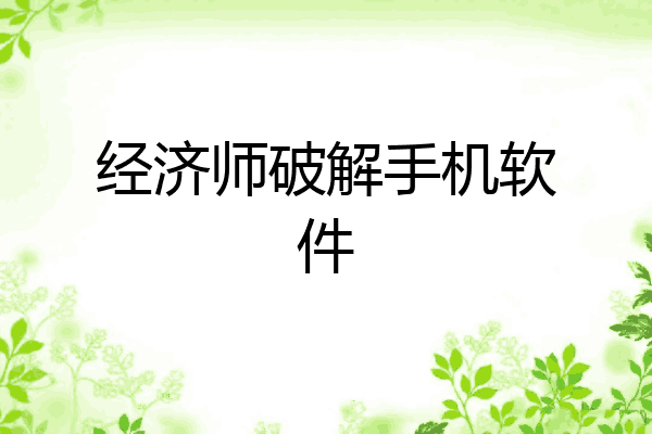 经济师破解手机软件