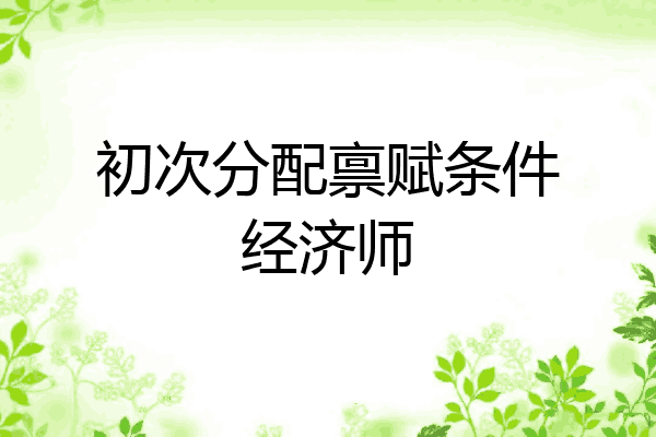 初次分配禀赋条件经济师